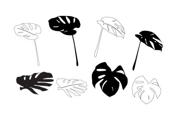 Monstera Deliciosa for Patterns: A Strategic Resource for Design and Creativity